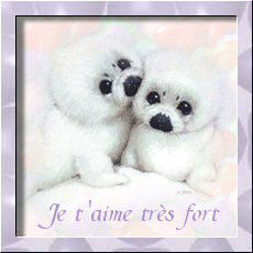 amour